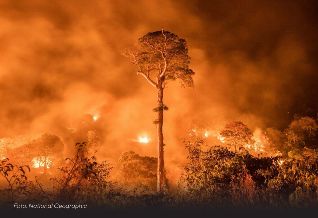 El fenómeno de El Niño ¿Qué es y cómo se produce? 