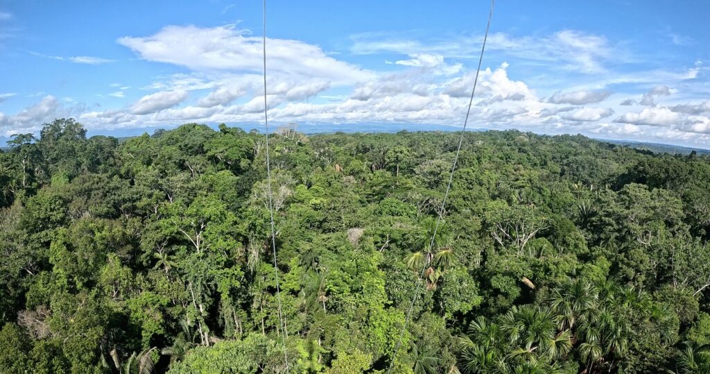 Vista desde la Torre Panguana