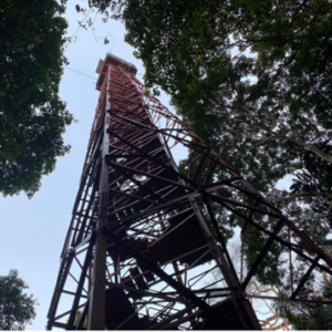 Torre de formato ancho